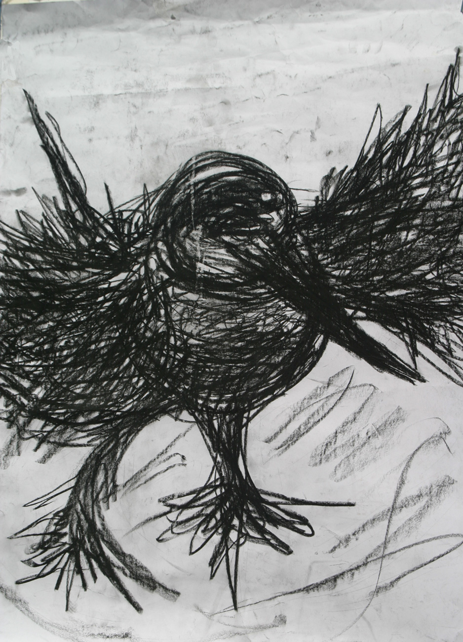 Anna Belli's Raven