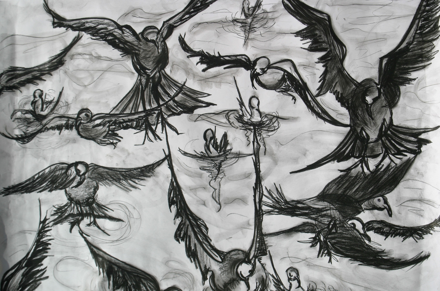 Who Scared the Birds?
