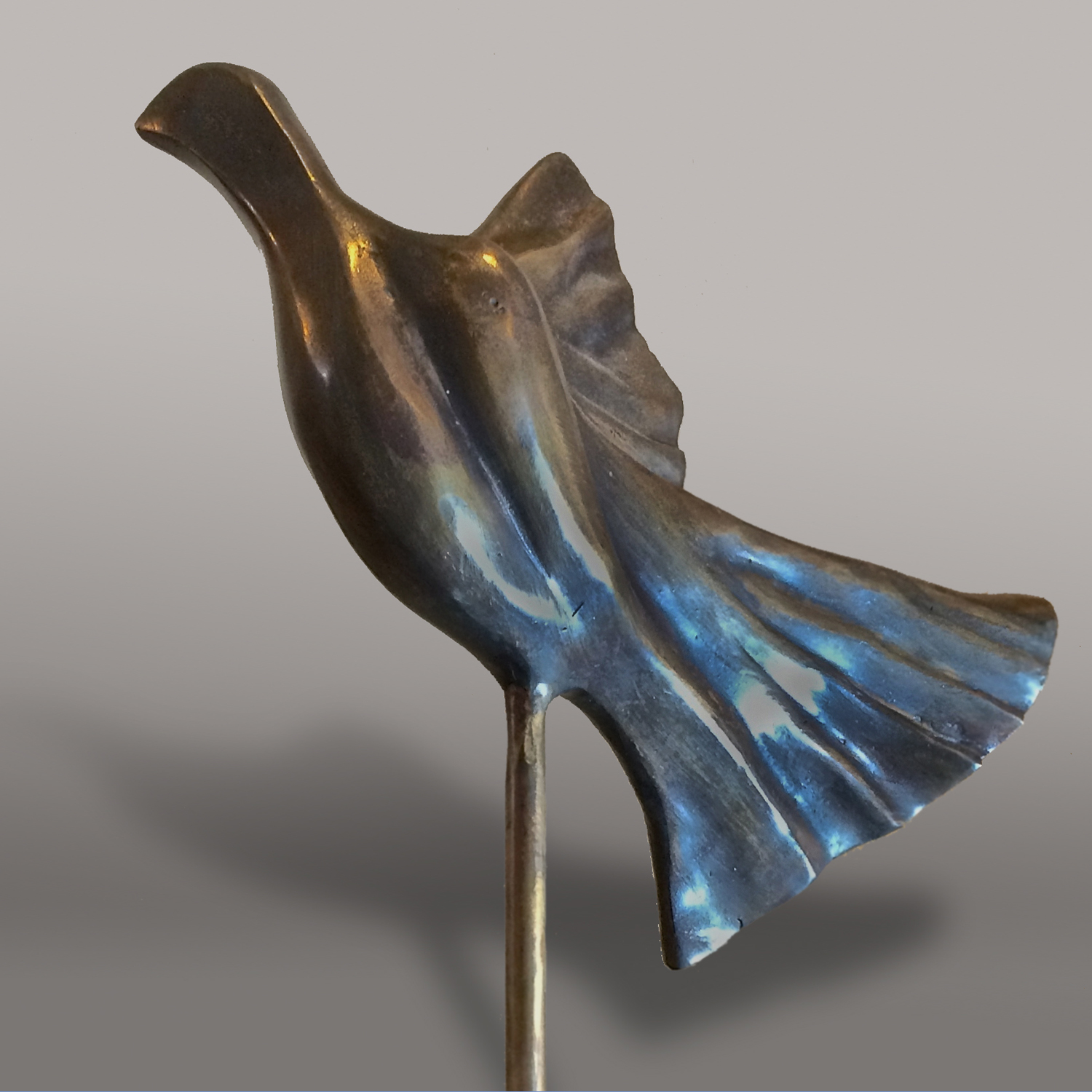 Noah's Pigeon
