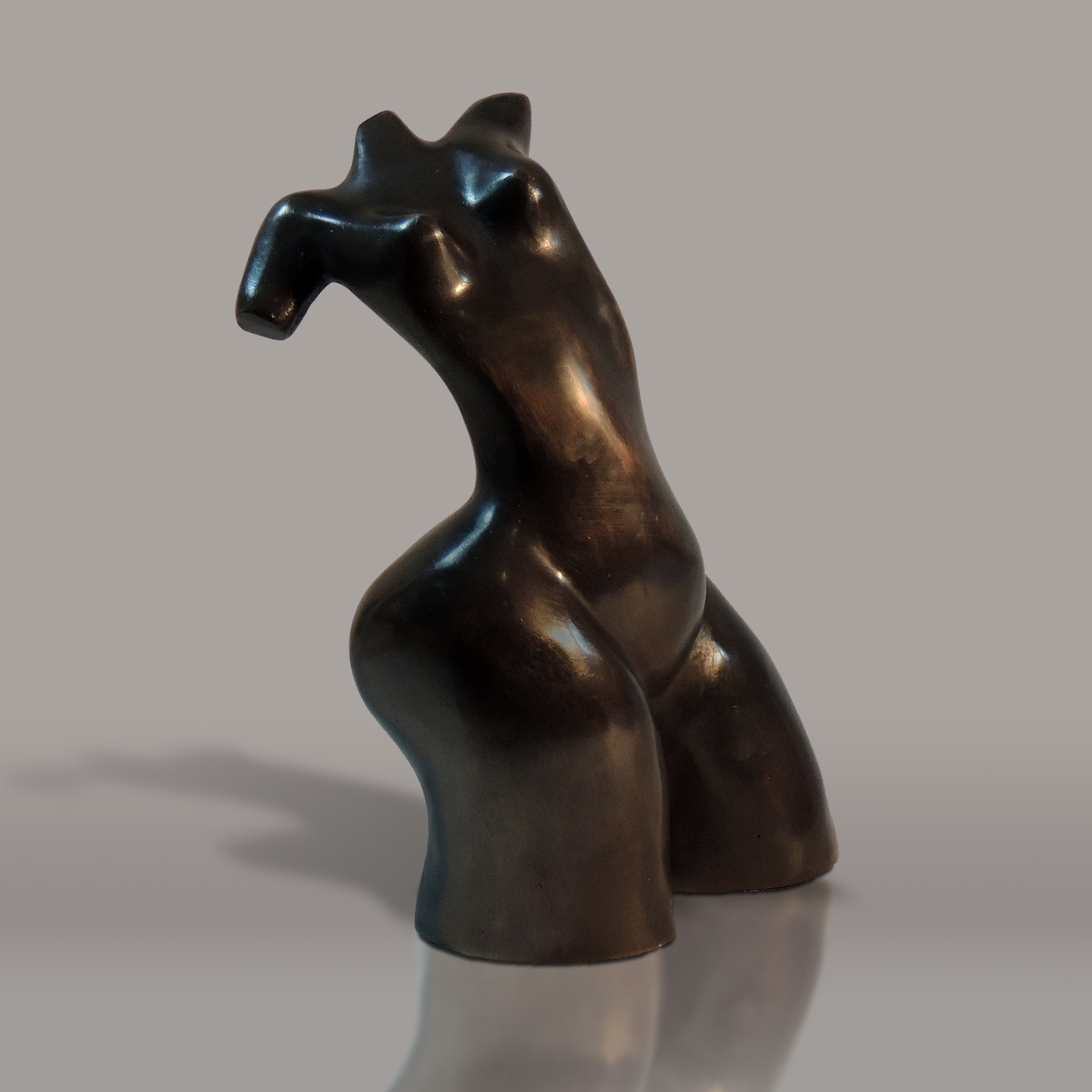 Torso